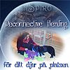 Reconnective Healing för ditt djur, utbildad av dr Eric Pearl