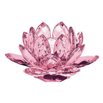 Lotusblomma rosa, glas 10cm